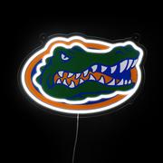  Florida Saturday Neon Led Neon Sign