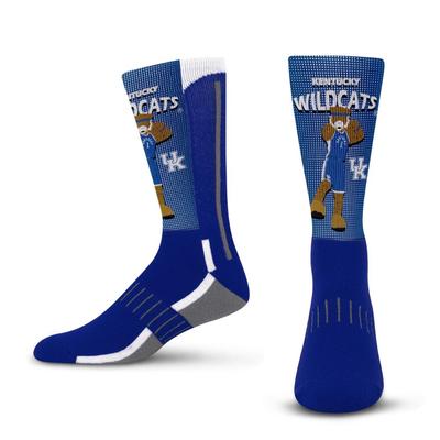 Kentucky Mascot Fever Socks