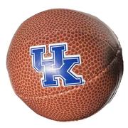  Kentucky Logo Brands Composite Plush Basketball