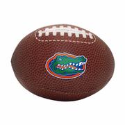  Florida Logo Brands Composite Plush Football