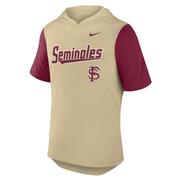  Florida State Nike Dri- Fit Hoodie Tee