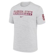  Florida State Nike Dri- Fit Velocity Baseball Tee