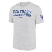  Kentucky Nike Dri- Fit Velocity Baseball Tee