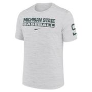  Michigan State Nike Dri- Fit Velocity Baseball Tee