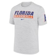  Florida Nike Dri- Fit Velocity Baseball Tee