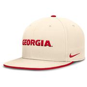  Georgia Nike Dri- Fit Pro Structured Round Bill Fitted Cap