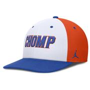  Florida Jordan Brand Dri- Fit Pro Local Snapback Cap