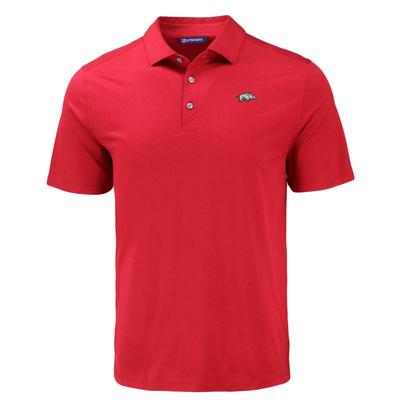 Arkansas Cutter & Buck Coastline Epic Comfort Eco Polo