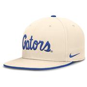  Florida Nike Dri- Fit Pro Structured Square Bill Cap