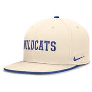  Kentucky Nike Dri- Fit Pro Structured Round Bill Fitted Cap