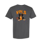  Tennessee Vols Dunking Smokey Comfort Colors Tee