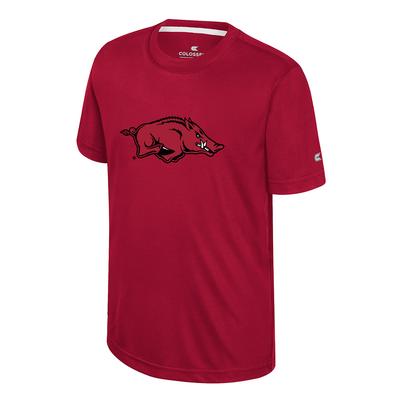 Arkansas Colosseum YOUTH Ripple Poly Tee