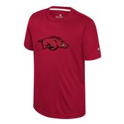  Arkansas Colosseum Youth Ripple Poly Tee