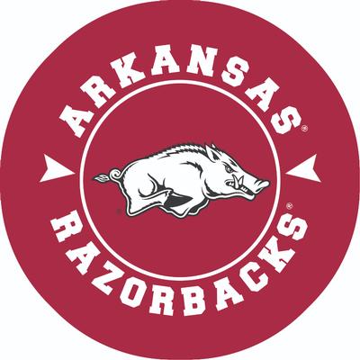 Arkansas 2 Pack Circle Car Coaster