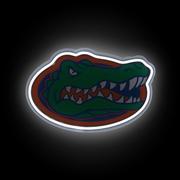  Florida 15 Inch Light Up Team Logo Sign