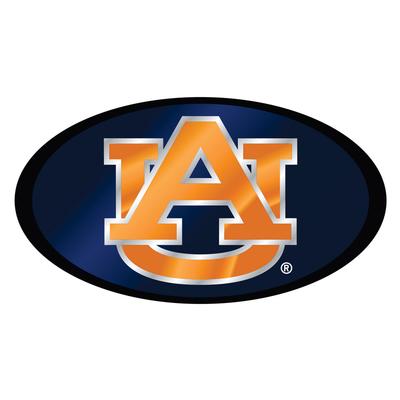 Auburn Domed Mirror Hitch Cover
