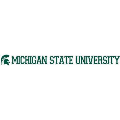 Michigan State 19