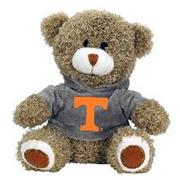  Tennessee Plush 7.5 Inch Teddy Bear With A Hoodie