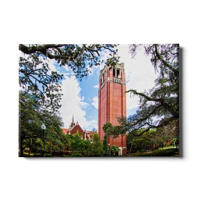 Florida College Wall Art 24