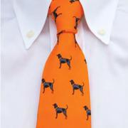  Tennessee Volunteer Traditions Bluetick Tie