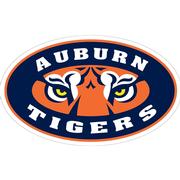  Auburn 8 