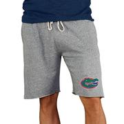  Florida College Concepts Men's Mainstream Terry Shorts