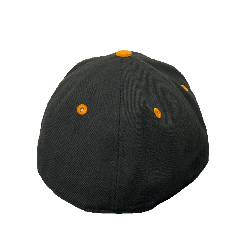 Tennessee Fitted Hat – aiojerseyco