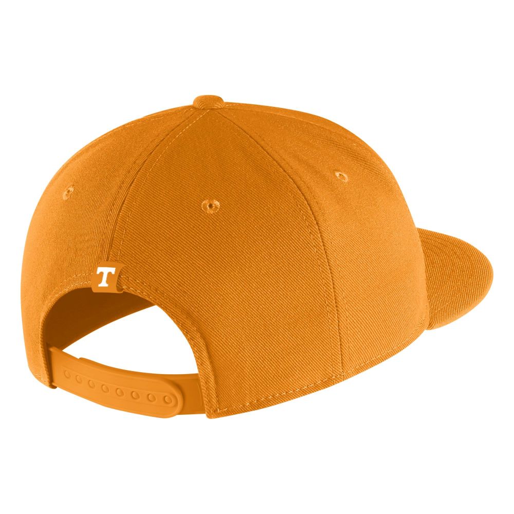 Nike TN hotsell Vintage Cap One Size