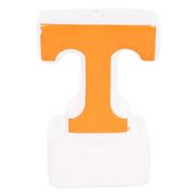 Tennessee Glory Haus Salt and Pepper Shakers