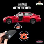 Auburn Car Door Light