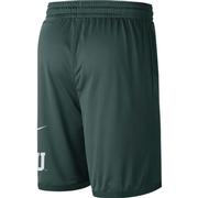 Michigan State Nike Men's Dri-Fit Shorts