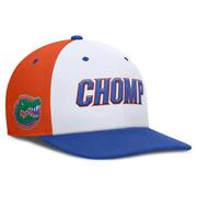 Florida Jordan Brand Dri-Fit Pro Local Snapback Cap