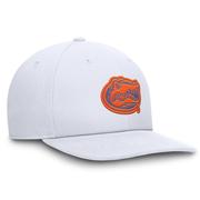 Florida Jordan Brand Dri-Fit Pro Structured Square Bill Cap