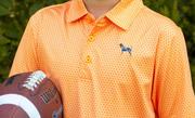 Tennessee Volunteer Traditions YOUTH Bluetick All T Polo