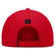 Georgia Nike Dri-Fit Club Structured Cap