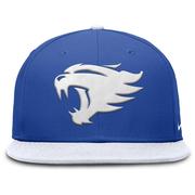 Kentucky Nike True Wool Fitted Cap