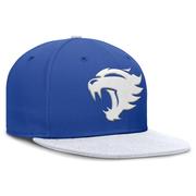 Kentucky Nike True Wool Fitted Cap