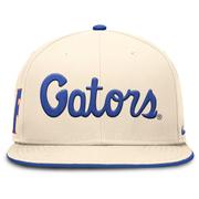 Florida Nike Dri-Fit Pro Structured Square Bill Cap