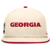 Georgia Nike Dri-Fit Pro Structured Round Bill Fitted Cap