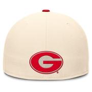 Georgia Nike Dri-Fit Pro Structured Round Bill Fitted Cap