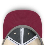 Florida State Nike Dri-Fit Pro Structured Square Bill Cap