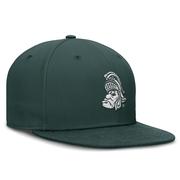 Michigan State Nike Vault True Wool Fitted Cap