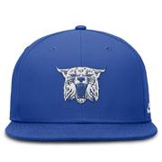 Kentucky Nike Vault True Wool Fitted Cap