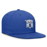 Kentucky Nike Vault True Wool Fitted Cap