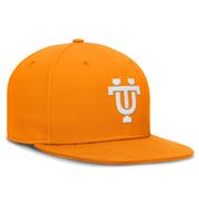 Tennessee Nike Vault Logo Dri-Fit True Wool Fitted Cap