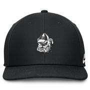 Georgia Nike Dri-Fit Pro Structured Square Bill Cap