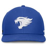 Kentucky Nike Dri-Fit Pro Structured Square Bill Cap