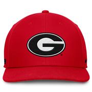 Georgia Nike Dri-Fit Pro Structured Square Bill Cap