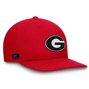 Georgia Nike Dri-Fit Pro Structured Square Bill Cap