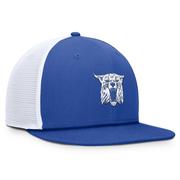 Kentucky Nike Vintage Dri-Fit Pro Structured Square Bill Cap